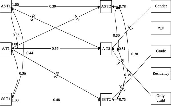 学业优秀学生组的跨时结构方程模型